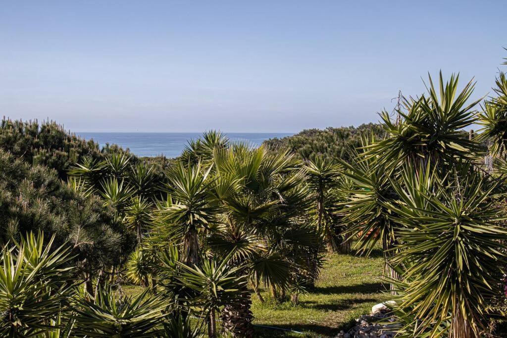 Pe Na Praia ตอร์เรส เวดรัส ภายนอก รูปภาพ